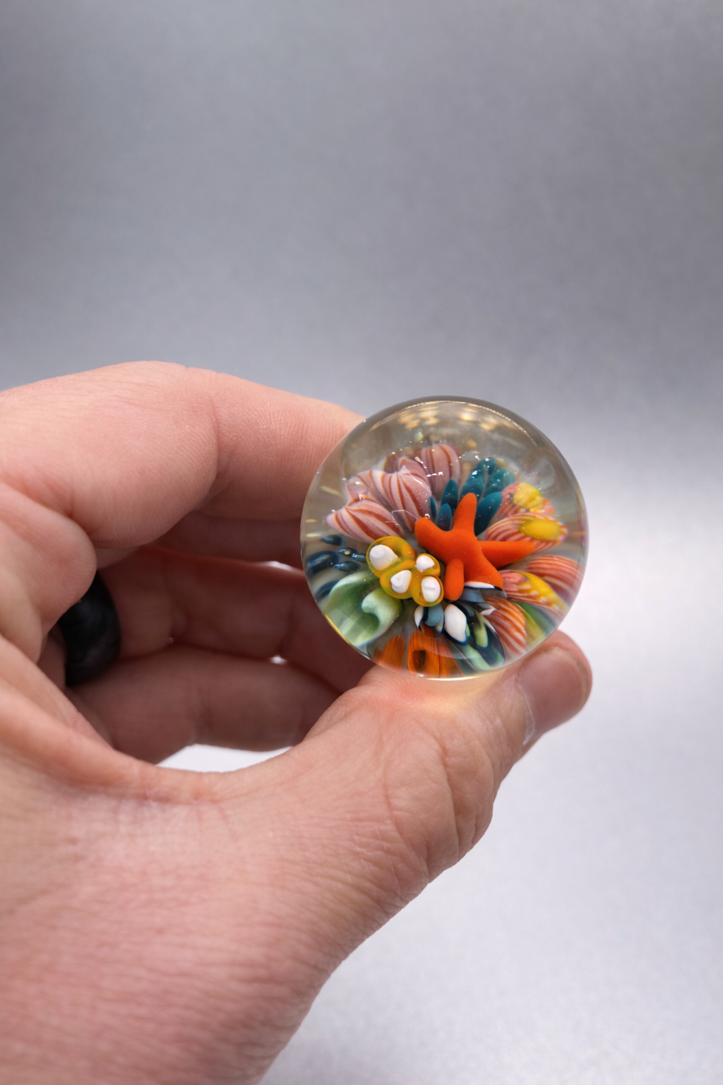 Reef Wine Stopper